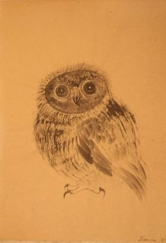 MORRIS GRAVES, WATERCOLOR, study of owl, 1957