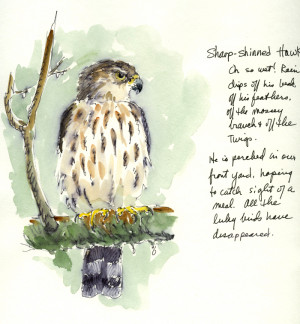 Saturday, January 12, 2013