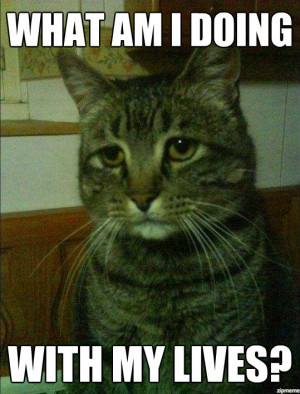 Depressed Cat meme – What am I doing with my lives? – via zipmeme