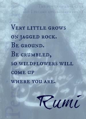 Rumi Quote, Persian Poet