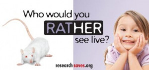 Ethical Dilemma; Should Animal Testing for Medical Purposes be Allowed ...