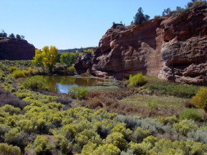 When we approach the Zion National Park the landscape starts to change ...