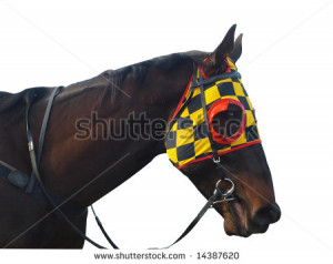 Race Horse Blinders Race horse with checkered