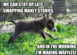 donkey funny quotes waffles