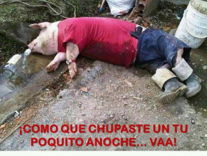 375306_10150476527948838_306987523837_8808517_1644572037_n