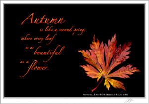 Autumn is like a second spring, where every leaf is as beautiful as a ...