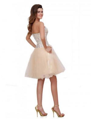 knee_length_corset_prom_dresses-short_princess_prom_formal.jpg