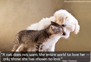 Cat And Dog Picture With Romantic Sayings Image About Sorry