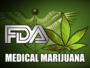 The California and Colorado medical marijuana statutes are causing ...