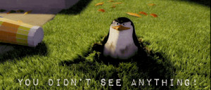 One of the penguins of Madagascar saying “you didn’t see anything ...