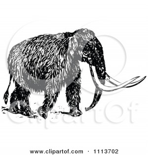 1113702-Vintage-Black-And-White-Wooly-Mammoth-2-Poster-Art-Print.jpg