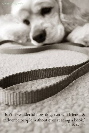 Everything I Need To Know I Learned From My Dog