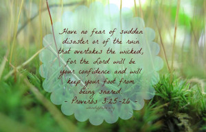 Come see what else there is to discover...