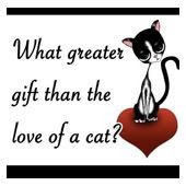 Cute, Funny and sweet cat quotes for cat lovers of all ages.