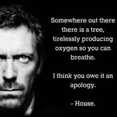 ... think you owe it an apology.