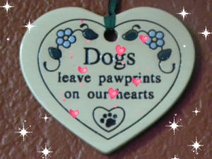 Inspirational Quotes About Dogs Dying Dogs leave pawprints on your
