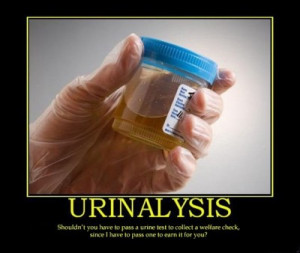 Shouldn’t you have to pass a urine test to collect a welfare check,