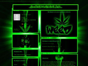... links medical marijuana dead show in washington jun weed gifts