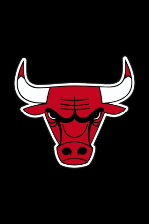Chicago Bulls Nba Logo Belt