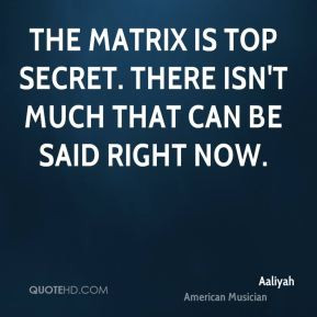 The Matrix is top secret. There isn't much that can be said right now.