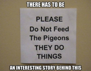funny-picture-do-not-feed-pigeons