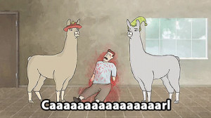Related Pictures funny llamas with hats quotes