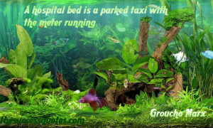 ... arthur holly compton quotations sayings famous quotes of arthur holly