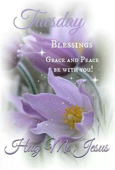 Tuesday Blessings...