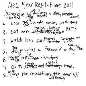 New Year Resolutions 2014 Funny New year 2014 resolution?