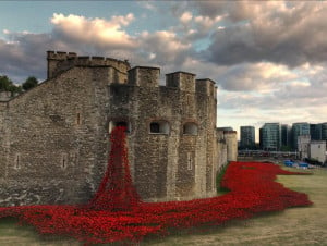 888,246 Ceramic Poppies Surround the Tower of London to Commemorate ...