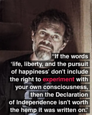 Terrence McKenna Quote