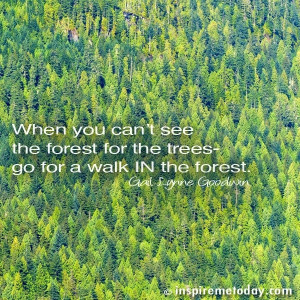 Quotes Trees Forest ~ When you can't see the forest for the trees- go ...