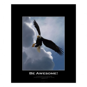 Flying Bald Eagle Awesome...