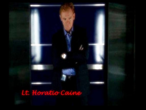 horatio caine wallpapers 3 |
