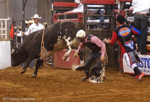 fayrouz hancock bull riding