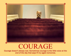 for forums: [url=http://www.imagesbuddy.com/courage-doesnt-always-roar ...