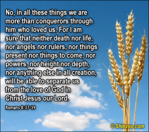 Saint Exupery Quotes About Love