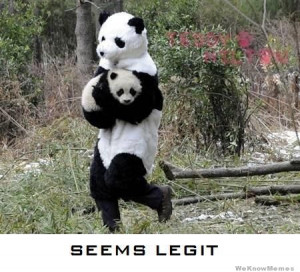That panda seems legit