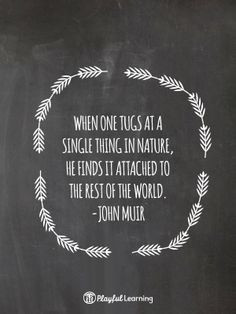Science Quotes ~ Science Quotes on Pinterest | 22 Pins