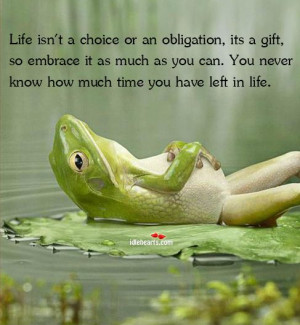 ... Affirmations, Funny, Paz Interiors, Inner Peace, Spanish Quotes, Frogs