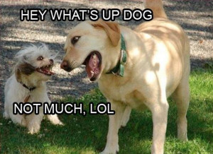 whats_up funny pictures