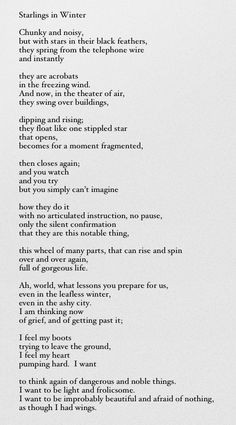 of grief, and of getting past it | Mary Oliver, 