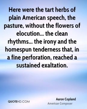 ... homespun tenderness that, in a fine perforation, reached a sustained