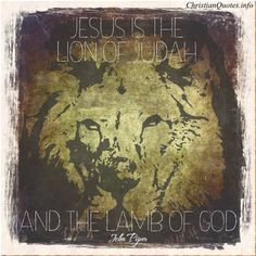 ... quotes lambs christianquotes info lion of judah inspiration quotes