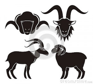 Goat and sheep icons with black vector silhouettes of the head and ...