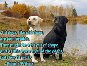 ... Inspirational Quotes about Dogs: Popular Dog Breed With Inspirational