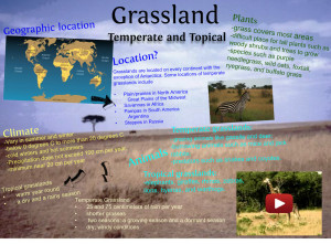Grassland Biome Brochure