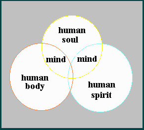 Diagram 23 Man has two minds