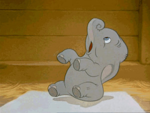 dumbo #disney #baby #animal