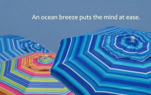 Ocean breeze quote via Carol's Country Sunshine on Facebook